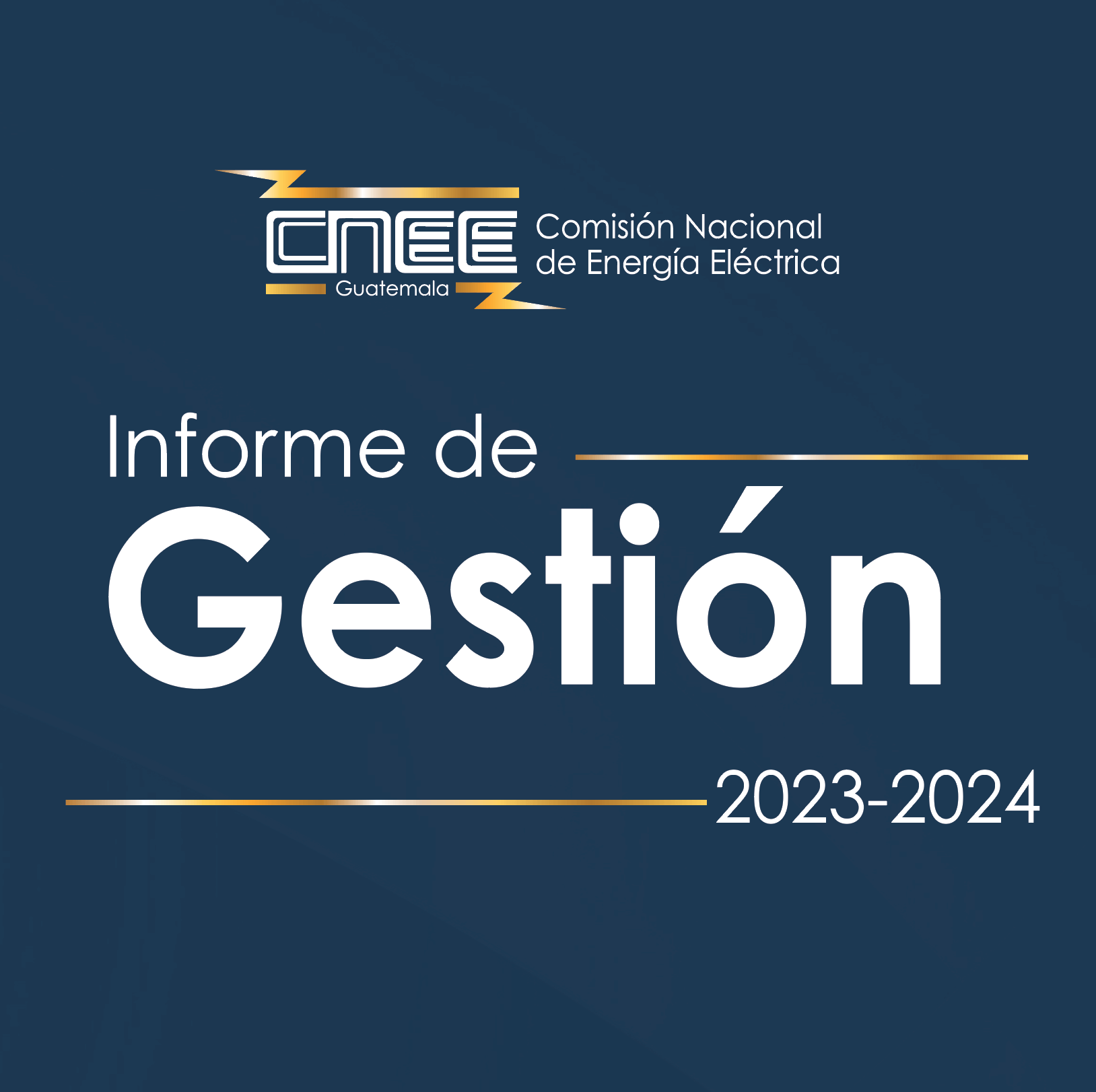 Informe de Gestión
